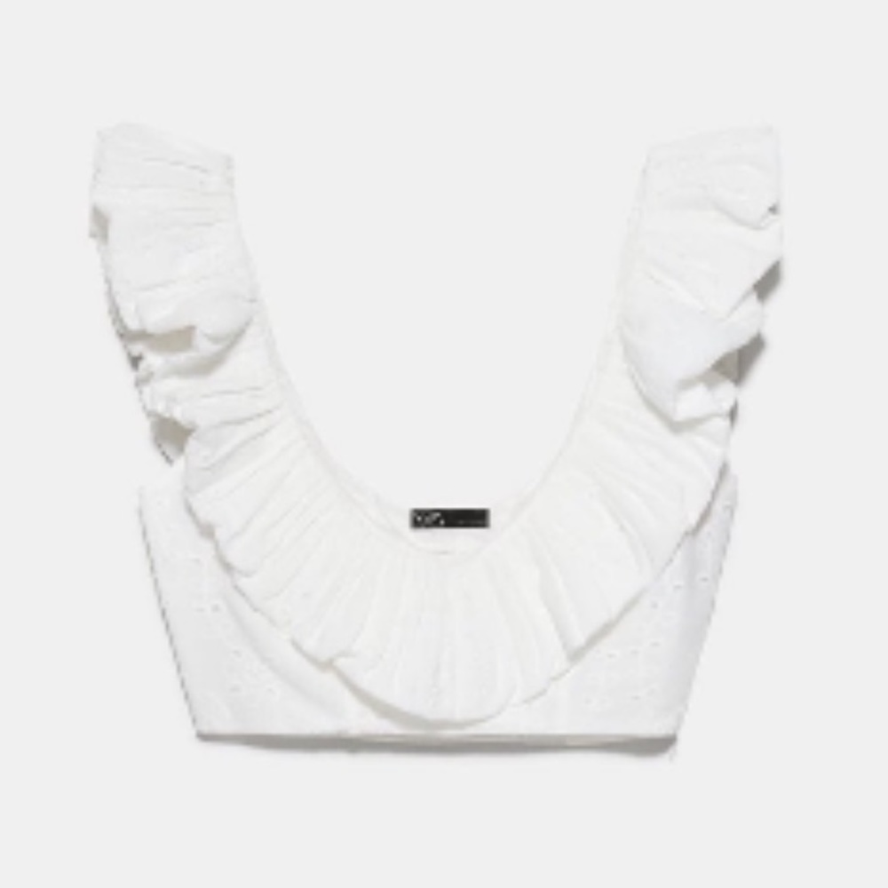 Zara Eyelet crop top